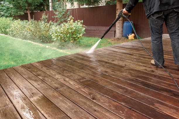 Best Roof Washing  in Johnsonville, SC