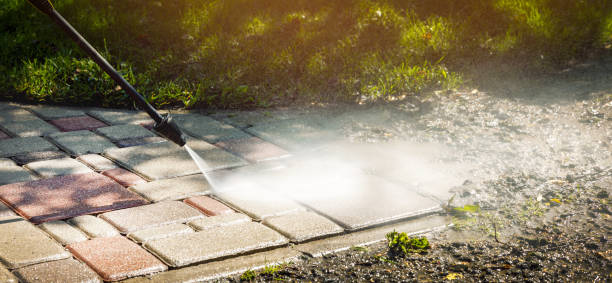 Best Sidewalk and Walkway Cleaning  in Johnsonville, SC
