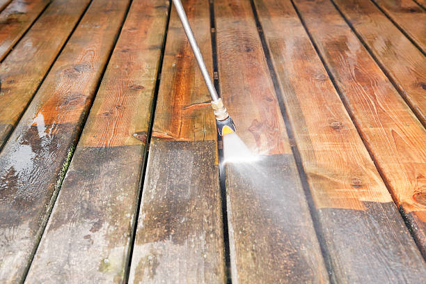 Best Pool Deck Cleaning  in Johnsonville, SC
